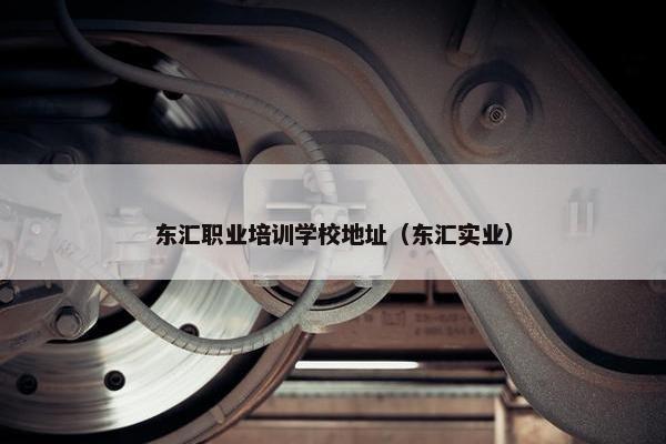 东汇职业培训学校地址（东汇实业）