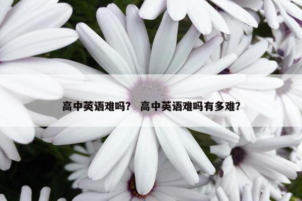 高中英语难吗？ 高中英语难吗有多难？