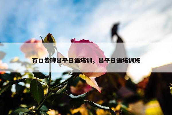 有口皆碑昌平日语培训，昌平日语培训班