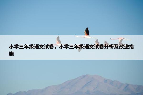 小学三年级语文试卷，小学三年级语文试卷分析及改进措施