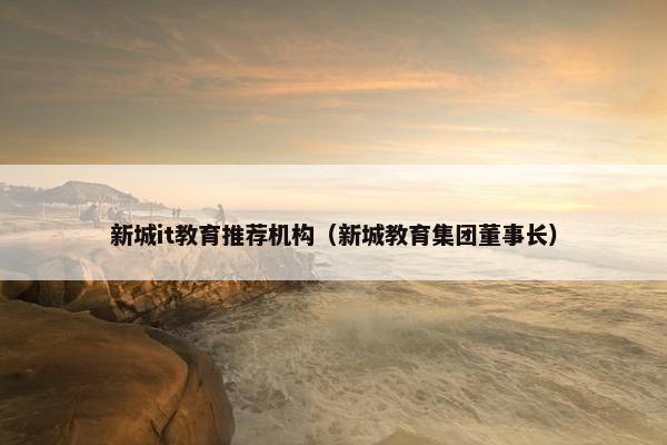 新城it教育推荐机构（新城教育集团董事长）
