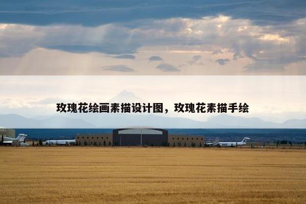 玫瑰花绘画素描设计图，玫瑰花素描手绘