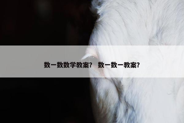 数一数数学教案？ 数一数一教案？