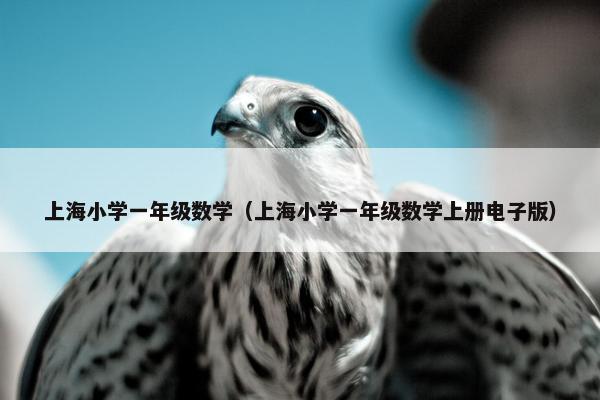 上海小学一年级数学（上海小学一年级数学上册电子版）