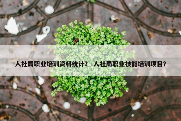人社局职业培训资料统计？ 人社局职业技能培训项目？