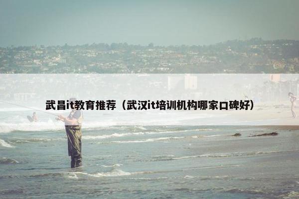 武昌it教育推荐（武汉it培训机构哪家口碑好）