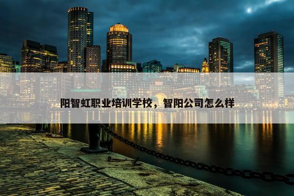 阳智虹职业培训学校，智阳公司怎么样