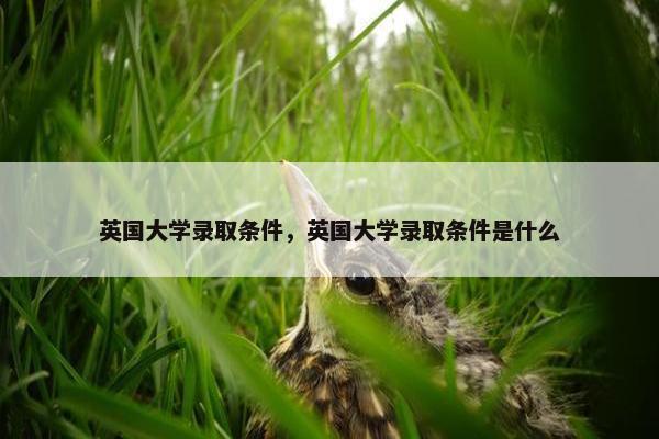 英国大学录取条件，英国大学录取条件是什么