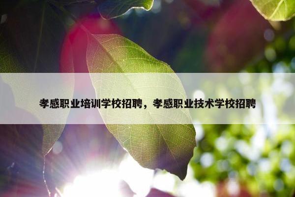 孝感职业培训学校招聘，孝感职业技术学校招聘