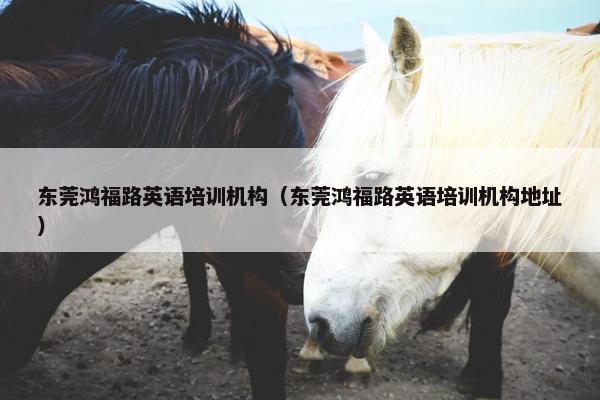 东莞鸿福路英语培训机构（东莞鸿福路英语培训机构地址）