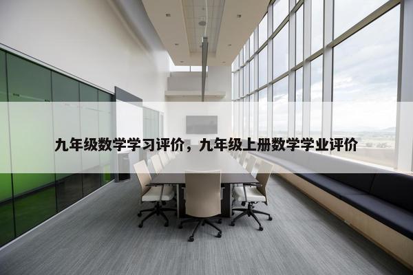 九年级数学学习评价，九年级上册数学学业评价