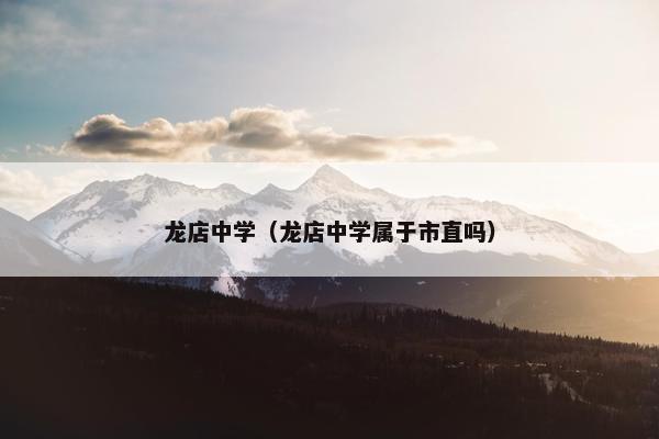 龙店中学（龙店中学属于市直吗）