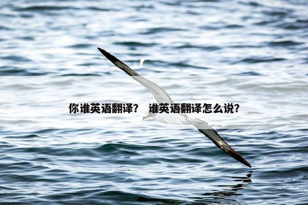 你谁英语翻译？ 谁英语翻译怎么说？
