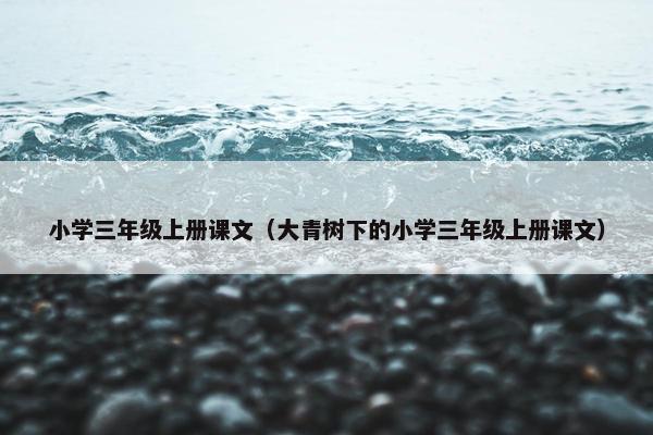 小学三年级上册课文（大青树下的小学三年级上册课文）