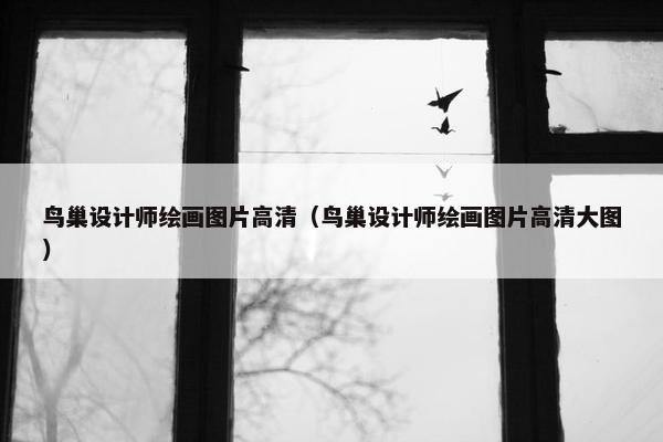鸟巢设计师绘画图片高清（鸟巢设计师绘画图片高清大图）