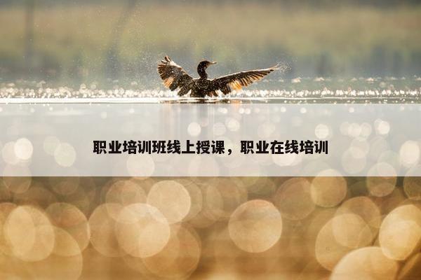 职业培训班线上授课，职业在线培训