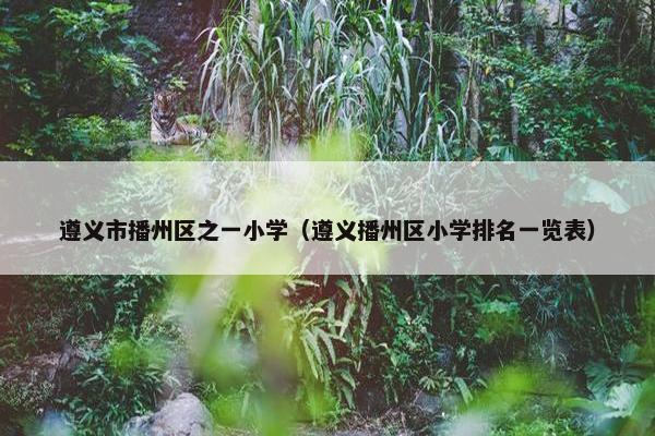 遵义市播州区之一小学（遵义播州区小学排名一览表）