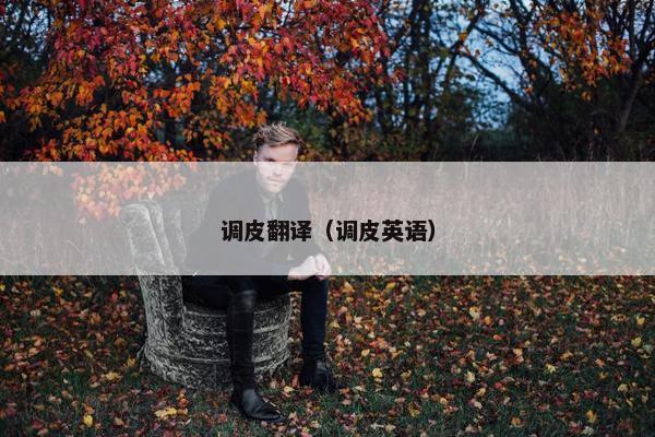 调皮翻译（调皮英语）