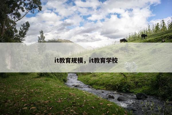 it教育规模，it教育学校