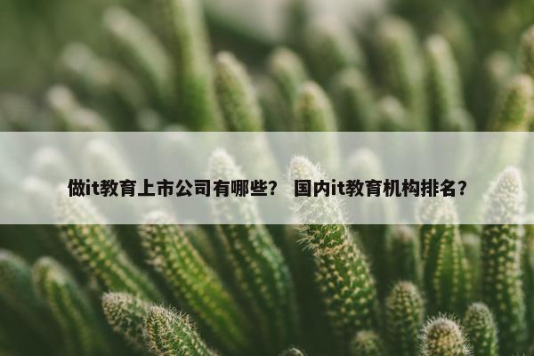 做it教育上市公司有哪些？ 国内it教育机构排名？