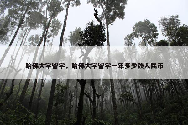 哈佛大学留学，哈佛大学留学一年多少钱人民币