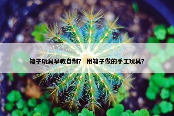 箱子玩具早教自制？ 用箱子做的手工玩具？