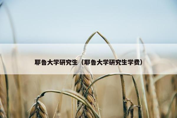 耶鲁大学研究生（耶鲁大学研究生学费）