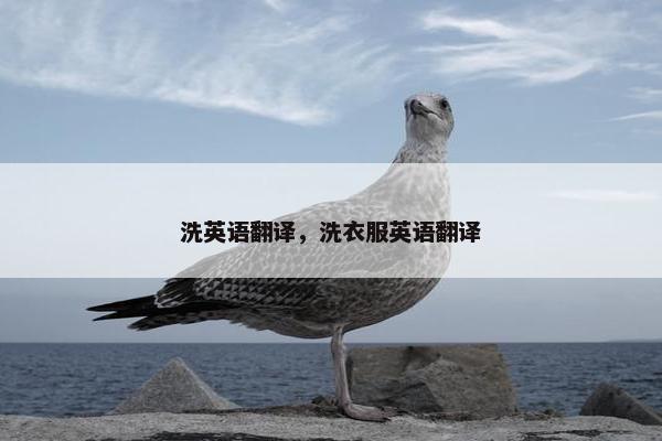 洗英语翻译，洗衣服英语翻译