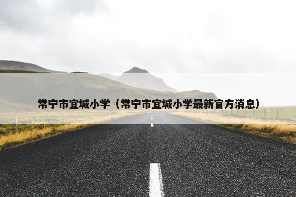 常宁市宜城小学（常宁市宜城小学最新官方消息）