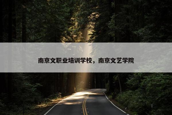 南京文职业培训学校，南京文艺学院