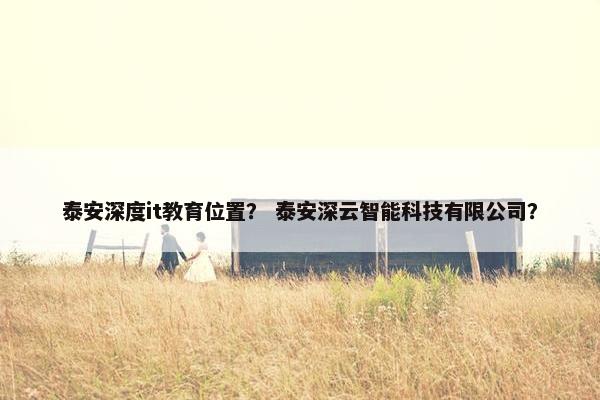 泰安深度it教育位置？ 泰安深云智能科技有限公司？