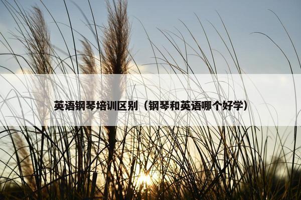 英语钢琴培训区别（钢琴和英语哪个好学）