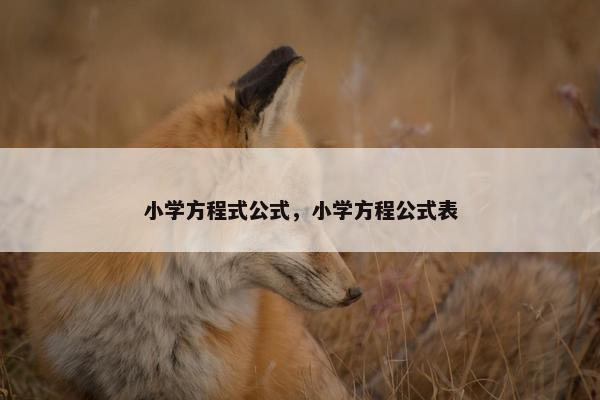 小学方程式公式，小学方程公式表