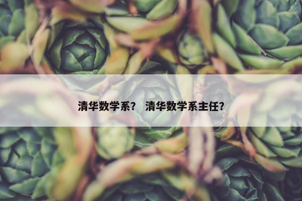 清华数学系？ 清华数学系主任？