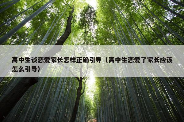 高中生谈恋爱家长怎样正确引导（高中生恋爱了家长应该怎么引导）