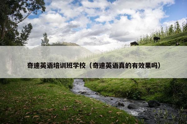 奇速英语培训班学校（奇速英语真的有效果吗）