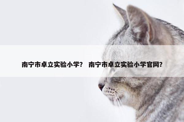 南宁市卓立实验小学？ 南宁市卓立实验小学官网？