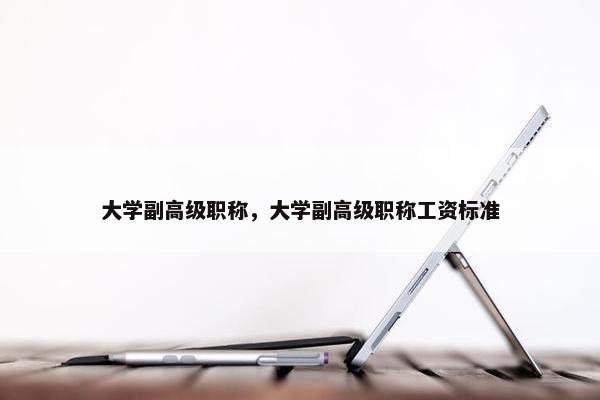 大学副高级职称，大学副高级职称工资标准