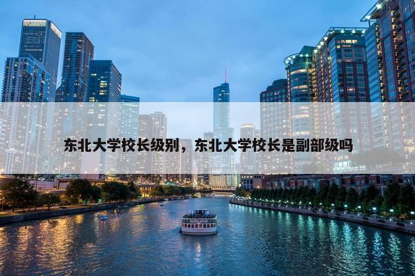 东北大学校长级别，东北大学校长是副部级吗