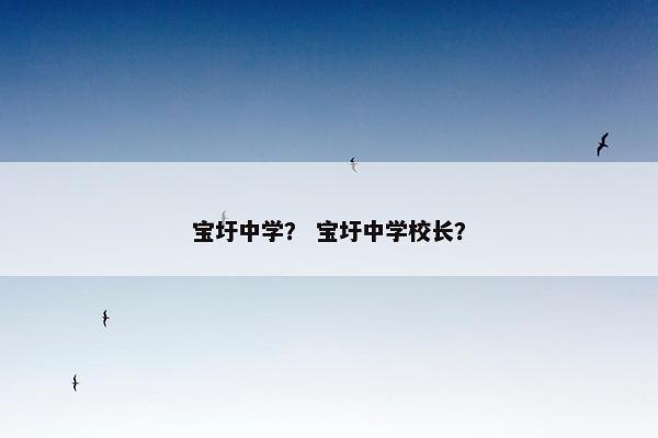 宝圩中学？ 宝圩中学校长？