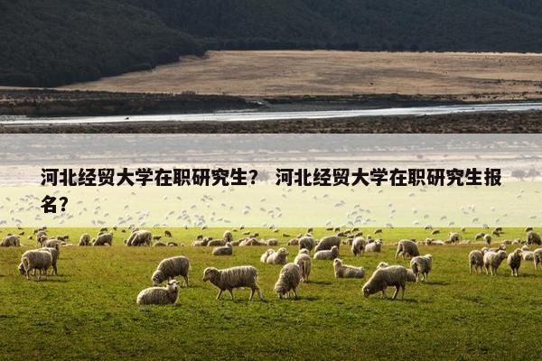 河北经贸大学在职研究生？ 河北经贸大学在职研究生报名？