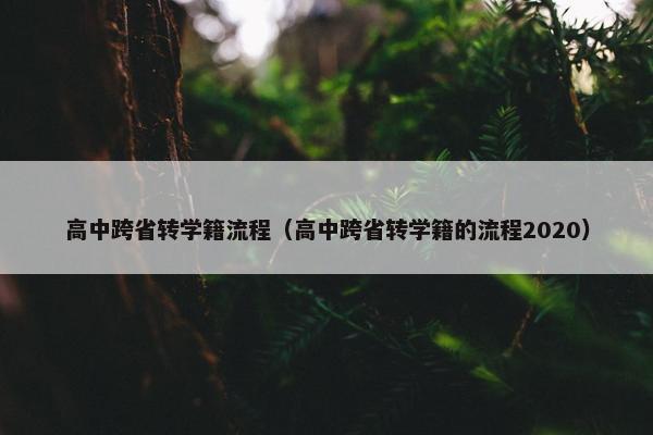 高中跨省转学籍流程（高中跨省转学籍的流程2020）
