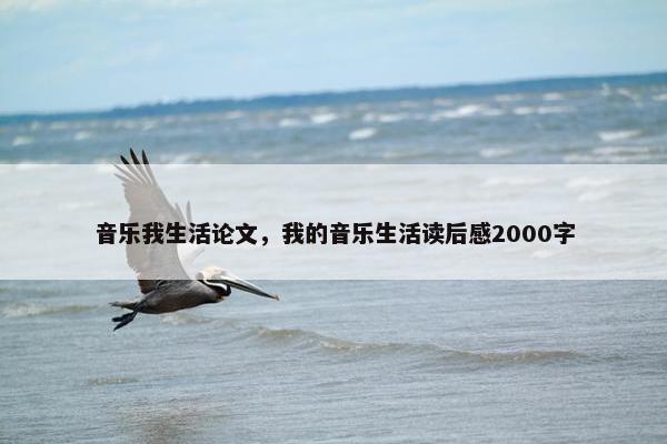 音乐我生活论文，我的音乐生活读后感2000字
