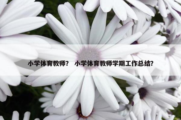 小学体育教师？ 小学体育教师学期工作总结？