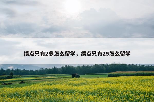 绩点只有2多怎么留学，绩点只有25怎么留学