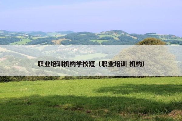 职业培训机构学校短（职业培训 机构）