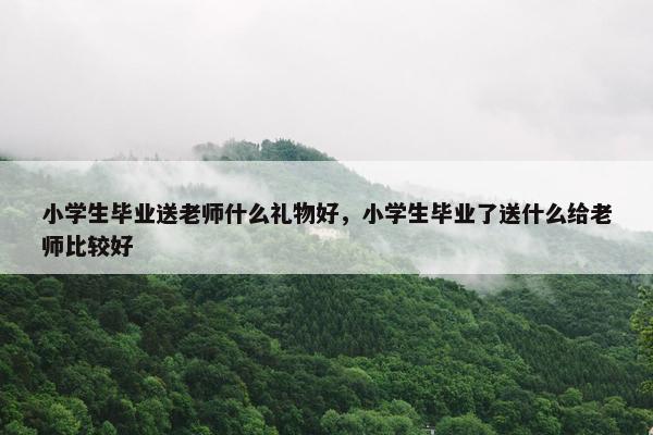 小学生毕业送老师什么礼物好，小学生毕业了送什么给老师比较好