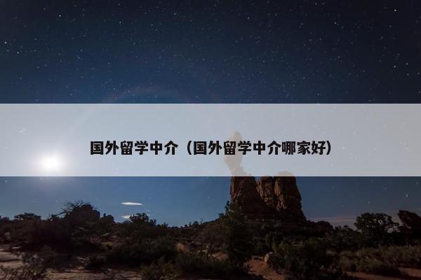 国外留学中介（国外留学中介哪家好）