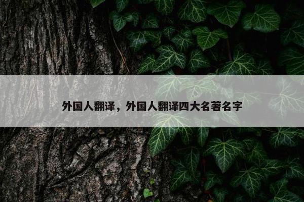 外国人翻译，外国人翻译四大名著名字