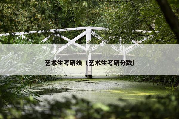 艺术生考研线（艺术生考研分数）